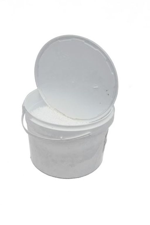 Alocasia Branchifolia Pink Passion blad