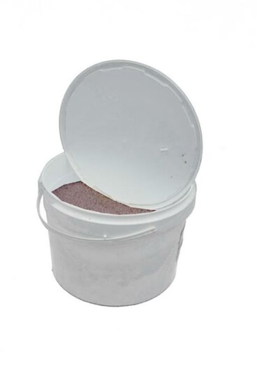 Hoya Krohniana Silver blad