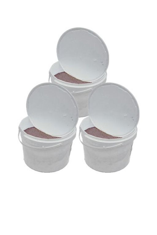 Epipremnum Pinnatum Global Green