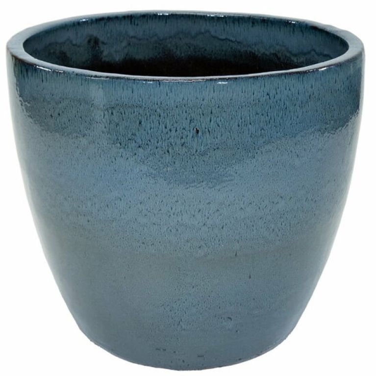 Syngonium Red Spot blad