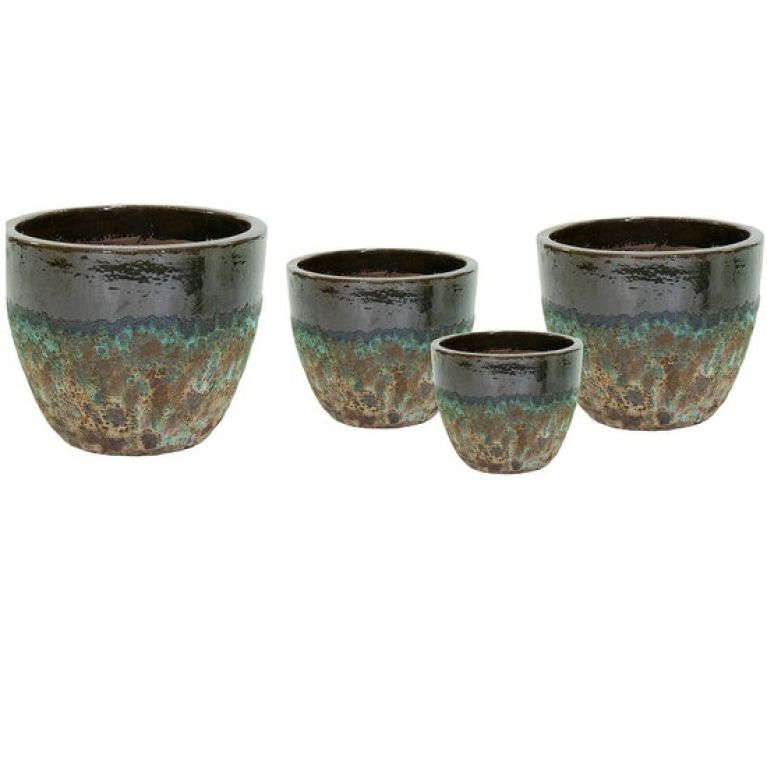 Scindapsus Treubii Dark